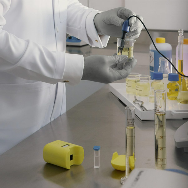 Mara Quantics - Imagen 3